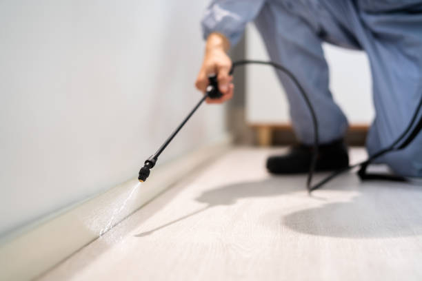 Licensed Termite Control service in Lassen County County, CA - Nex Pest Control