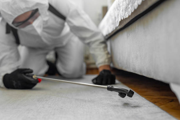 Professional Termite Control technician working in Lassen County County, CA
